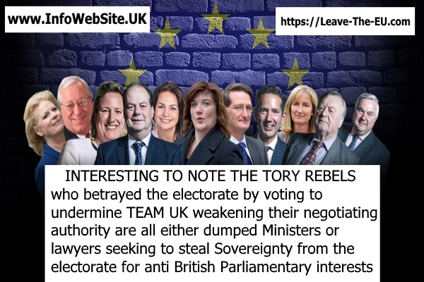 BREXIT REBELS 02